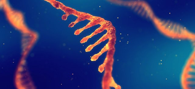 RNA RNA